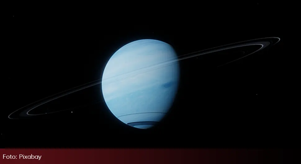 Neptun .webp